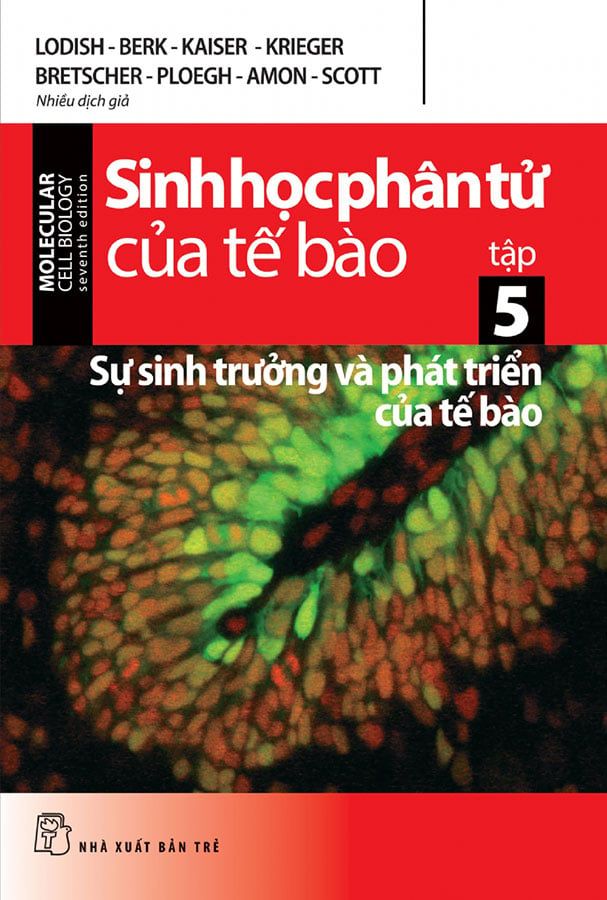 Sinh Học Phân Tử Của Tế Bào - Tập 5: Sự Sinh Trưởng Và Phát Triển Của Tế Bào (Tái bản năm 2024)