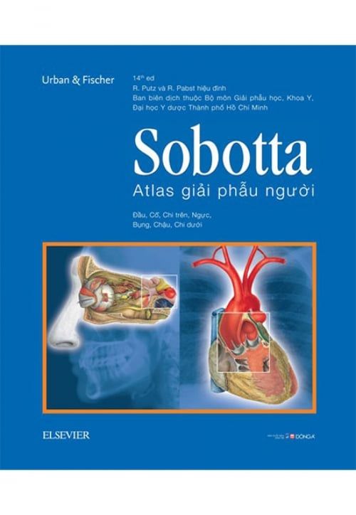 Sobotta - Atlas Giải Phẫu Người