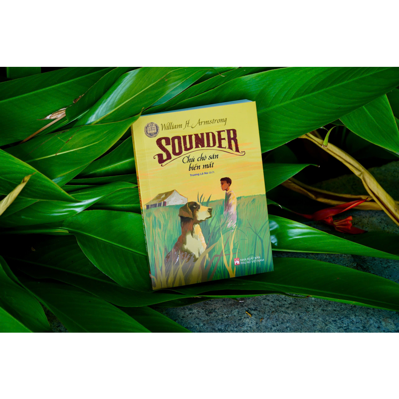 Sounder Chú Chó Săn Biến Mất