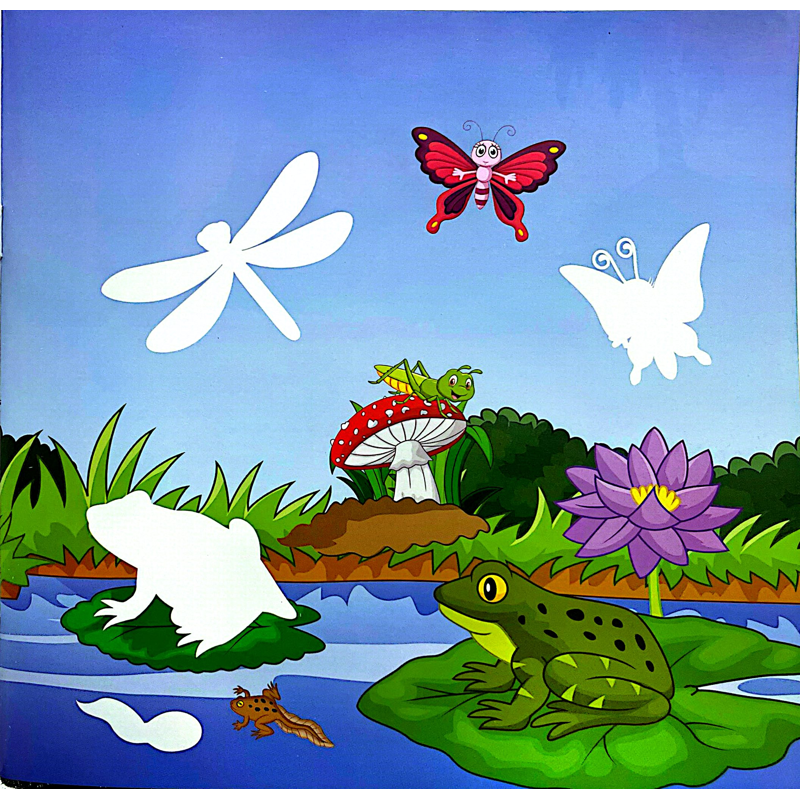 Sticker Animal - Dán Hình Động Vật - Chim Và Côn Trùng