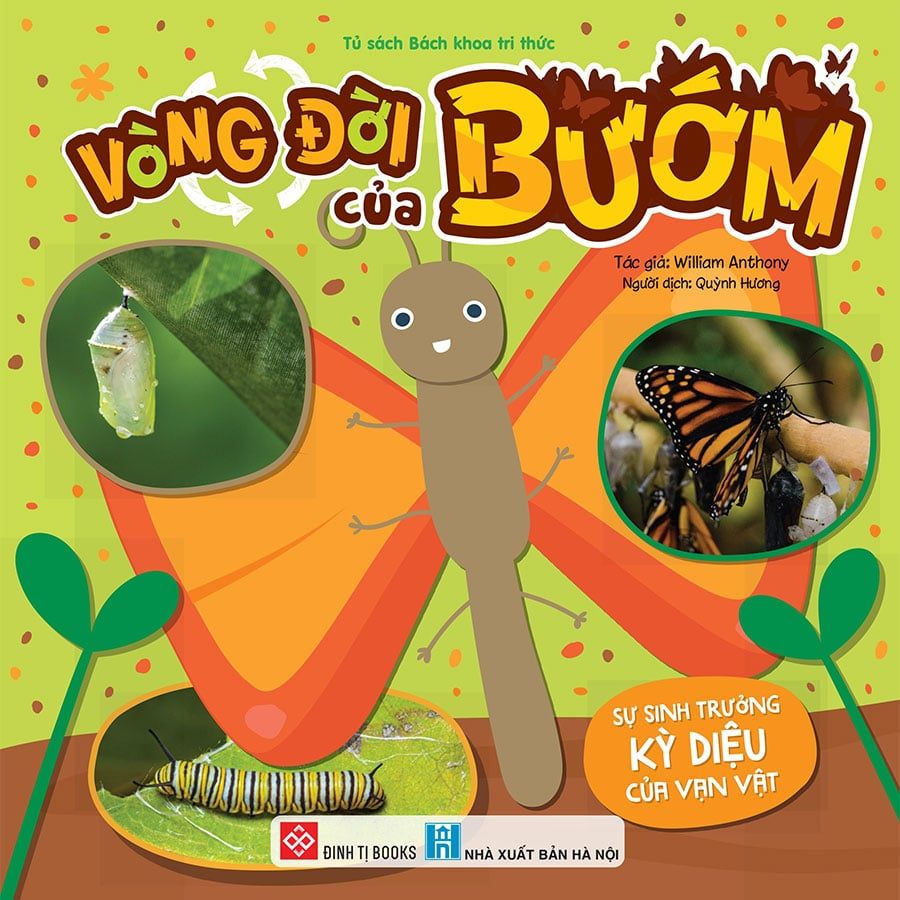 Sự Sinh Trưởng Kỳ Diệu Của Vạn Vật - Vòng Đời Của Bướm