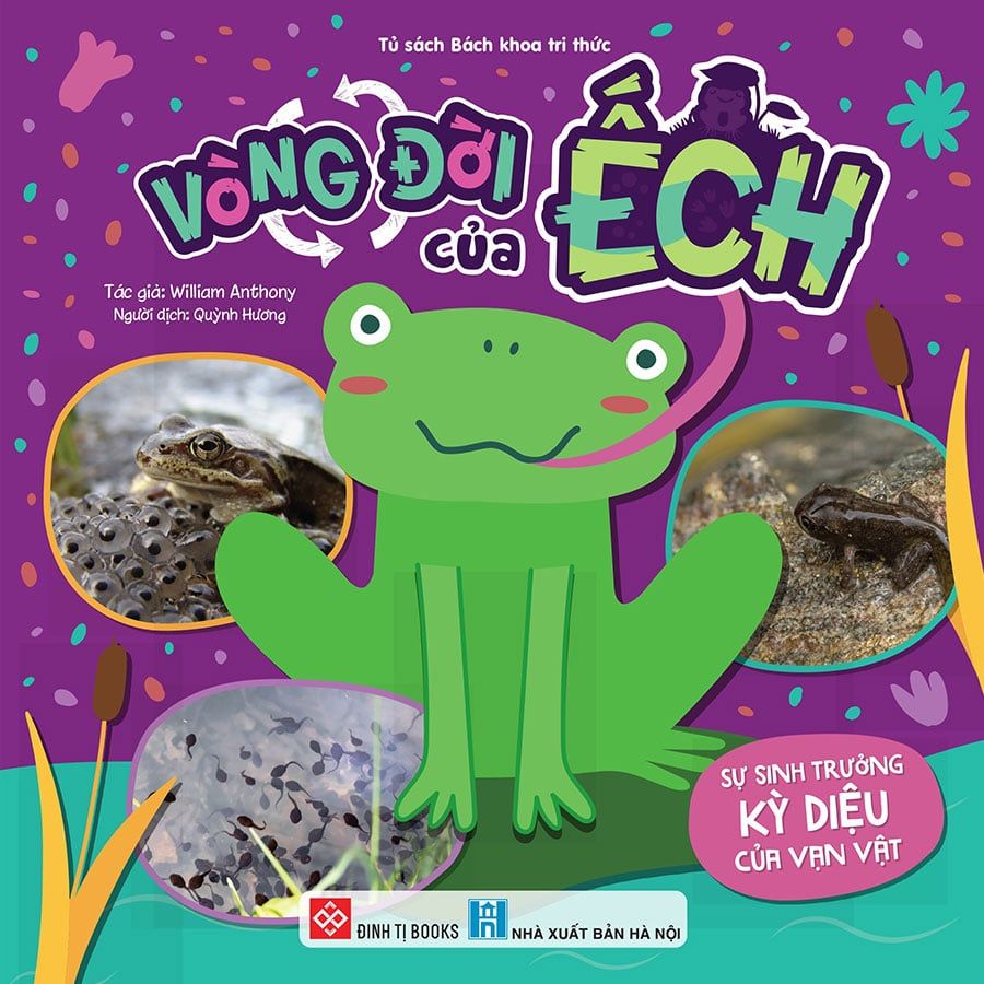 Sự Sinh Trưởng Kỳ Diệu Của Vạn Vật - Vòng Đời Của Ếch