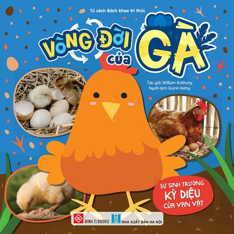Sự Sinh Trưởng Kỳ Diệu Của Vạn Vật - Vòng Đời Của Gà