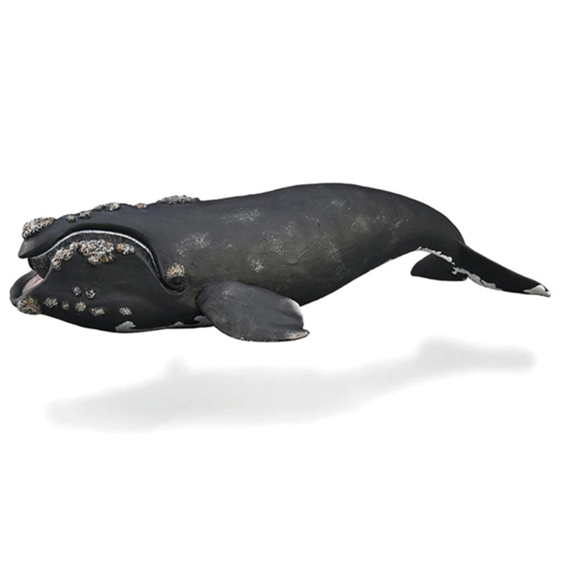 Collecta Mô Hình Động Vật Collecta Cá Mập Trắng Lớn 88729
