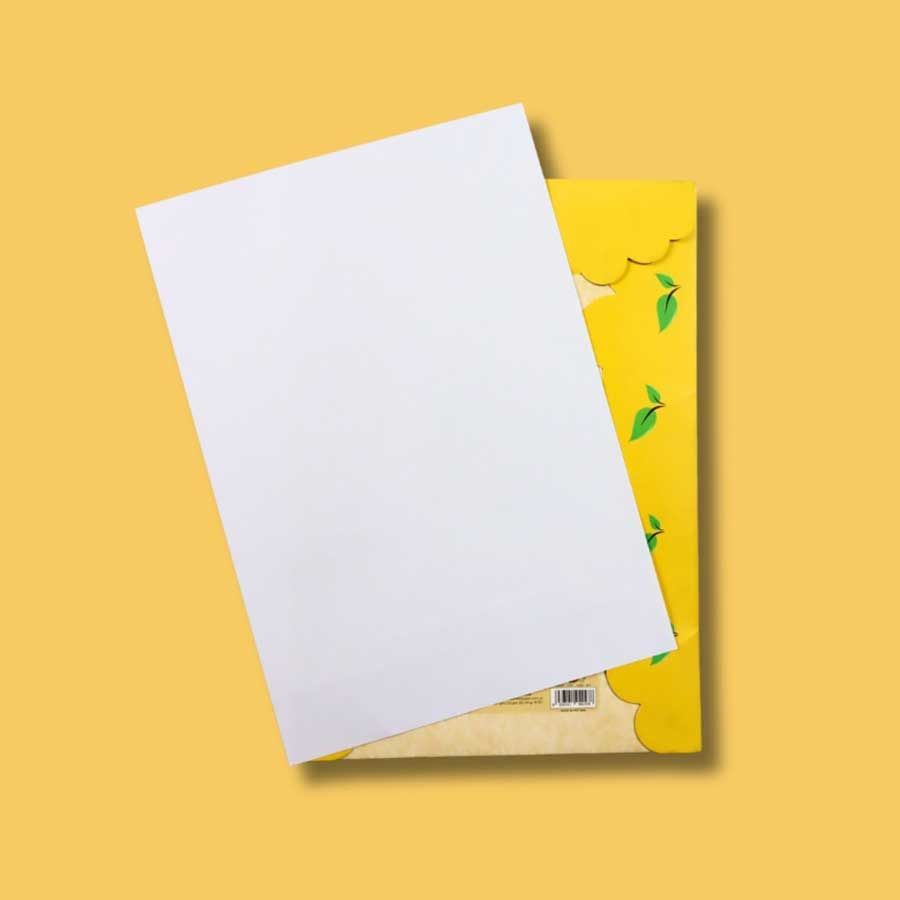 Tệp Photo Thuận Tiến 50 Tờ A4 Dl100