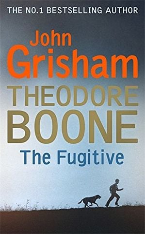 Theodore Boone 05: The Fugitive