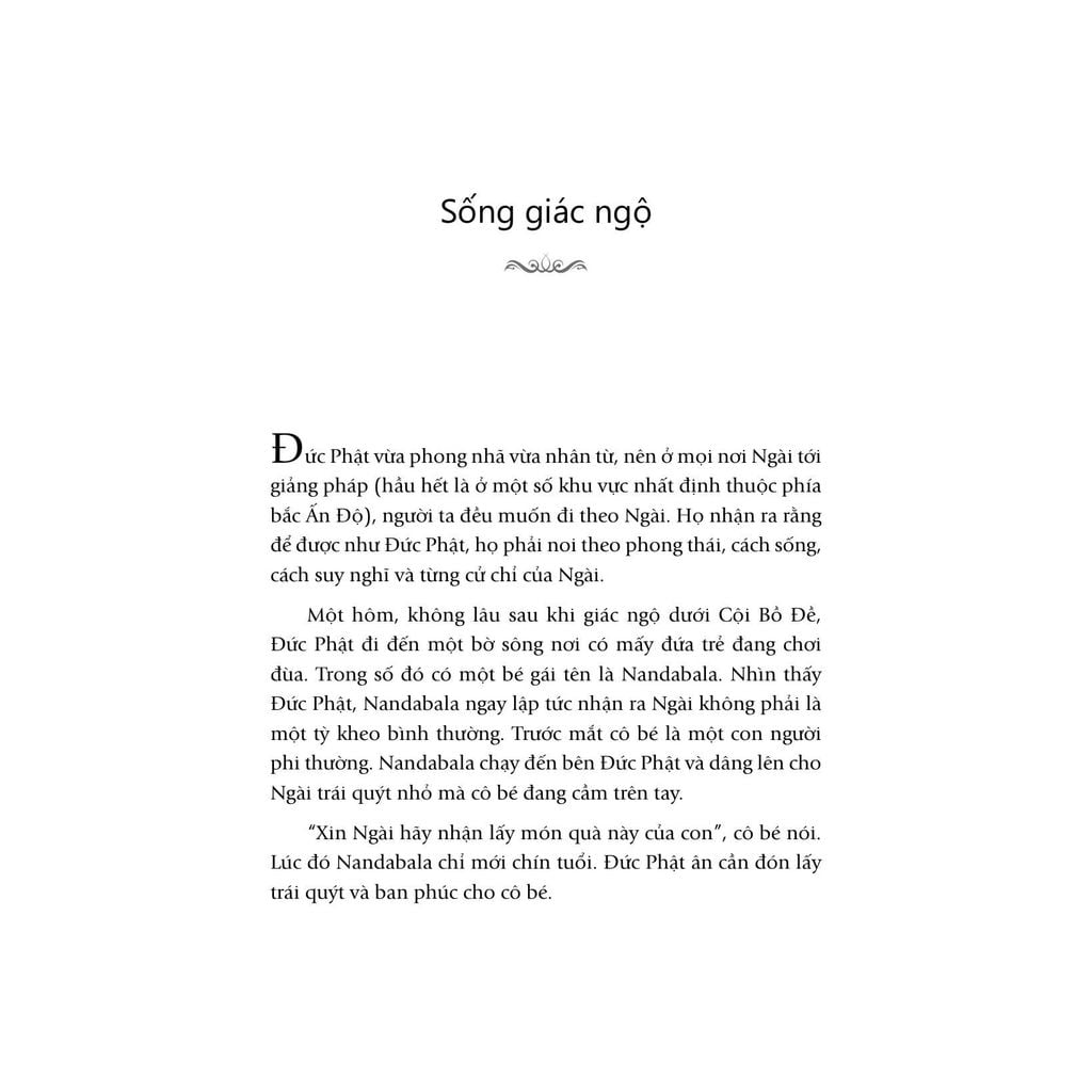 Thiền Giữa Đời Thường