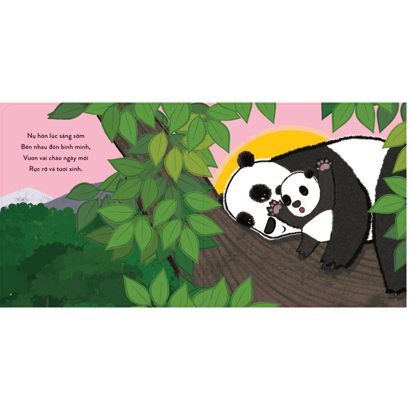Thủ Thỉ Cùng Con - Những Điều Nhỏ Bé