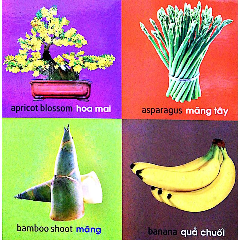 101 First Words - 101 Từ Đầu Tiên - Thực Vật