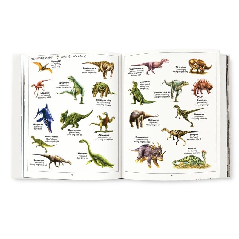 My First 1000 Words - 1000 Từ Tiếng Anh Đầu Tiên