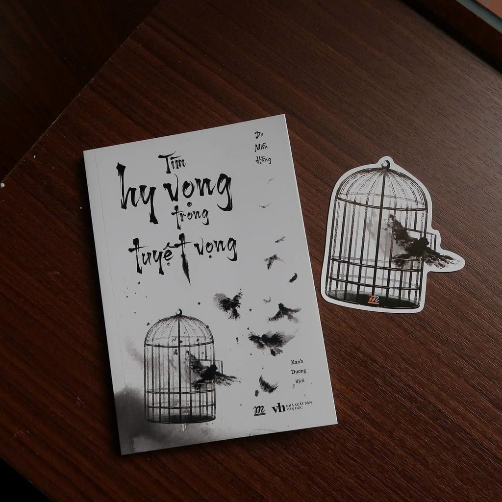 Tìm Hy Vọng Trong Tuyệt Vọng