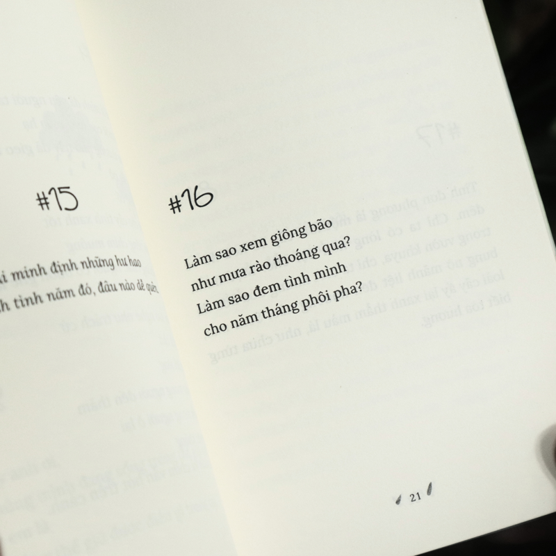 Tình Yêu Là Chiếc Ô Nghiêng