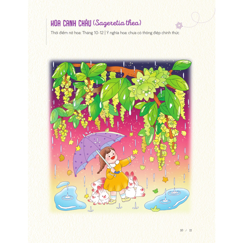 Trạm Sạc Bình Yên - Ngắm Hoa Trong Tuyết (Tô Màu)