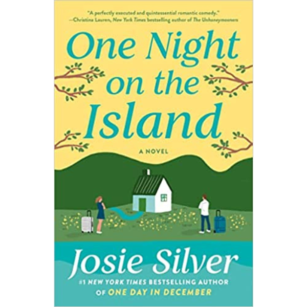 One Night on the Island: A Novel