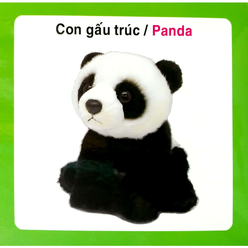 Từ Điển Hình Ảnh Cho Bé-Động Vật Hoang Dã (Wild Animals)