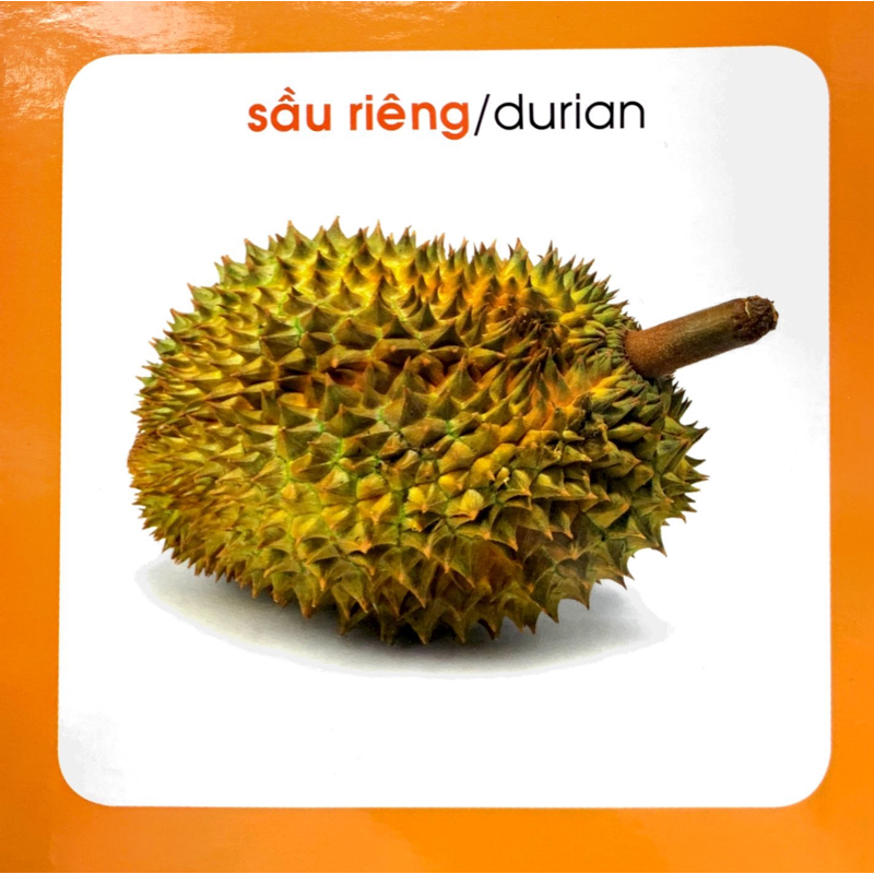 Từ Điển Hình Ảnh Cho Bé - Trái Cây