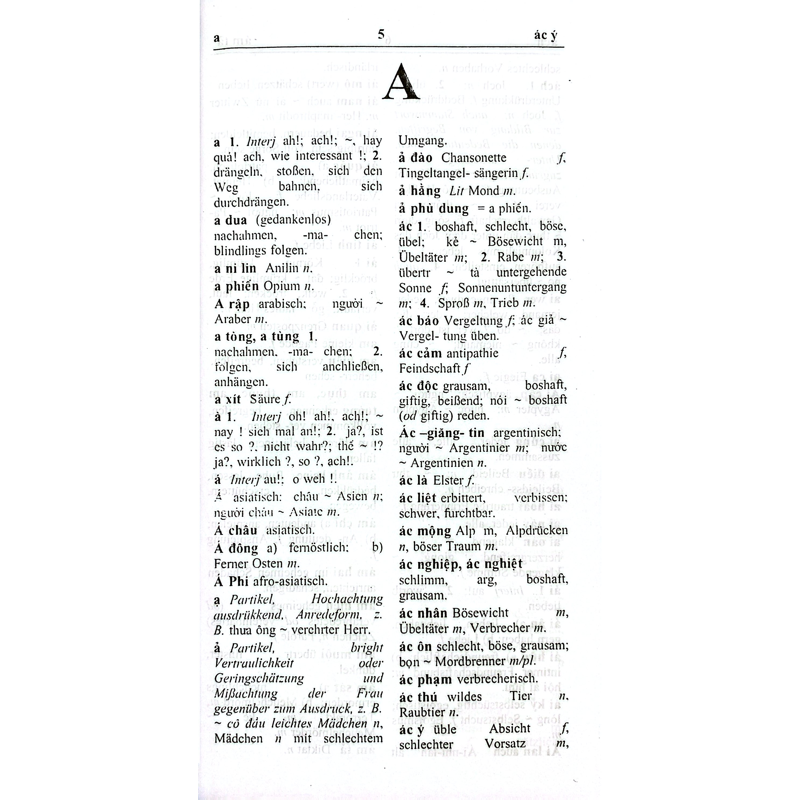 Từ Điển Việt Đức New Edition