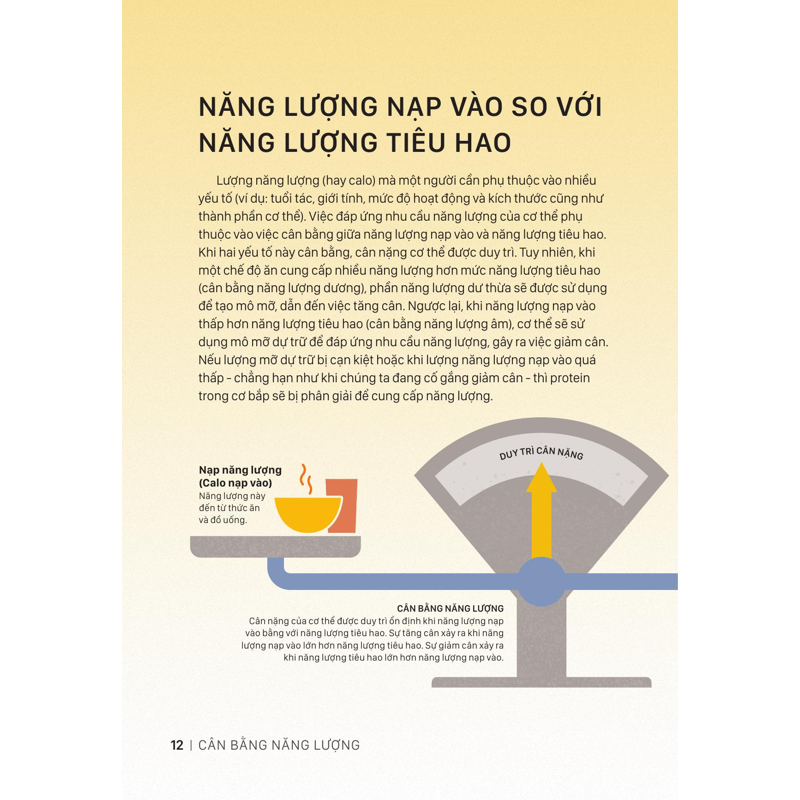 Tủ Sách Bách Khoa Tri Thức - Hiểu Về Dinh Dưỡng