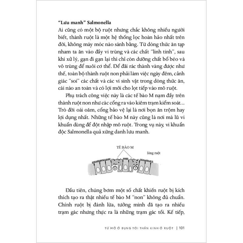 Từ Sự Mất Ngủ Của Ruồi