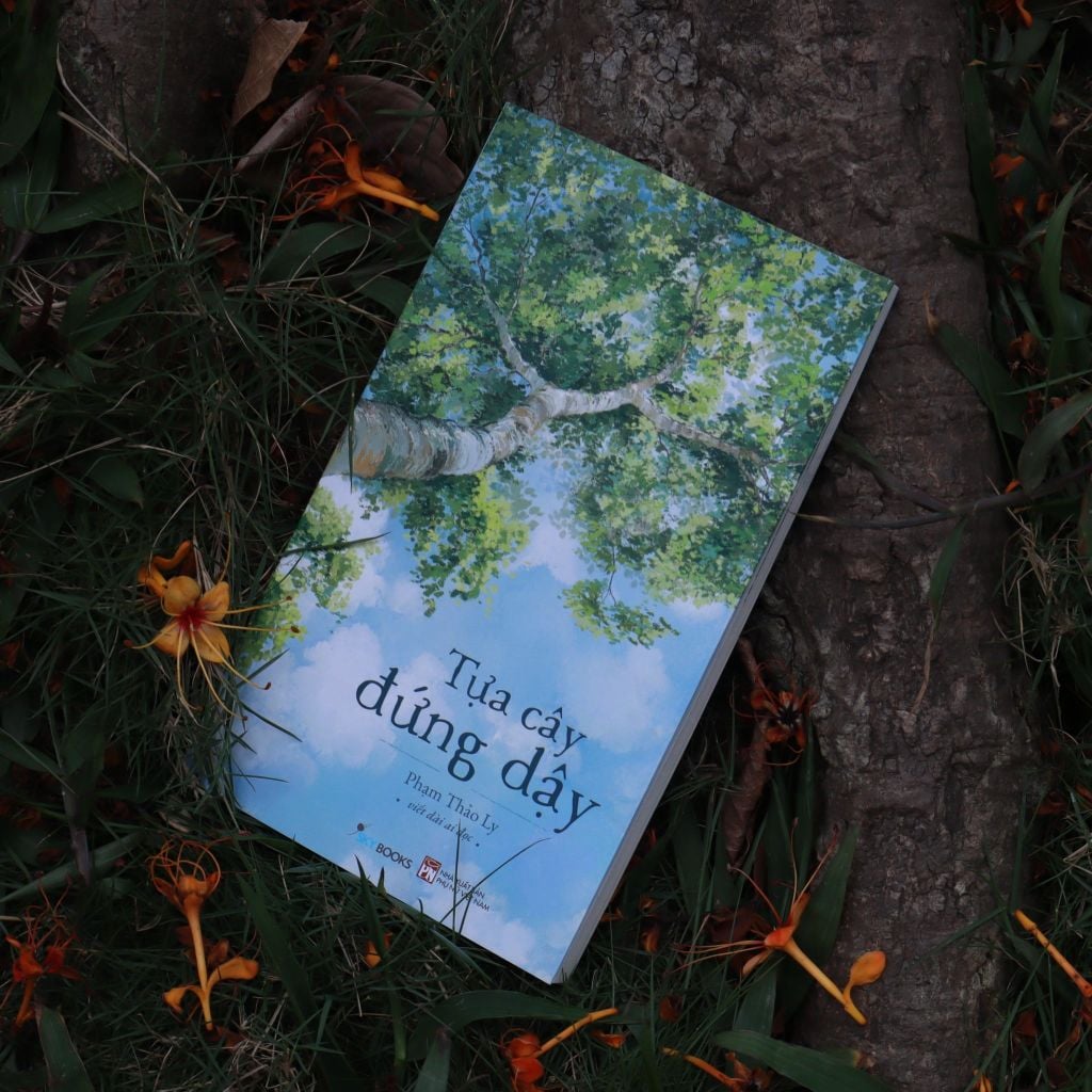 Tựa Cây Đứng Dậy