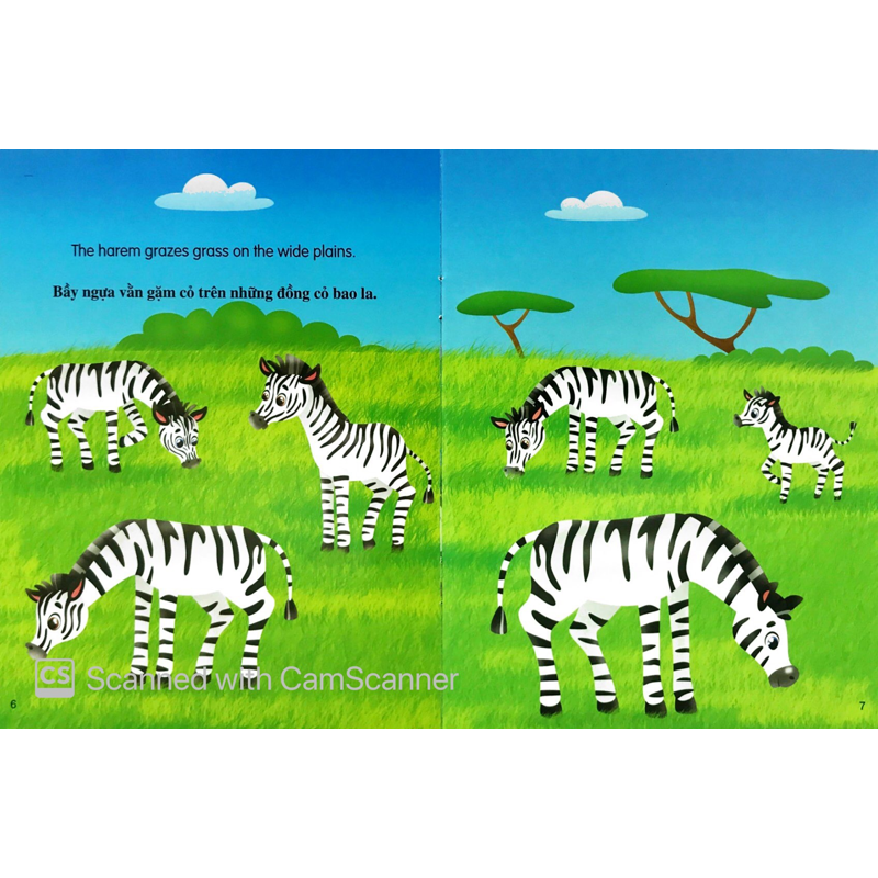 Những Câu Chuyện Về Thế Giới Loài Vật - Tớ Là Một Chú Ngựa Vằn (Song ngữ Anh-Việt)
