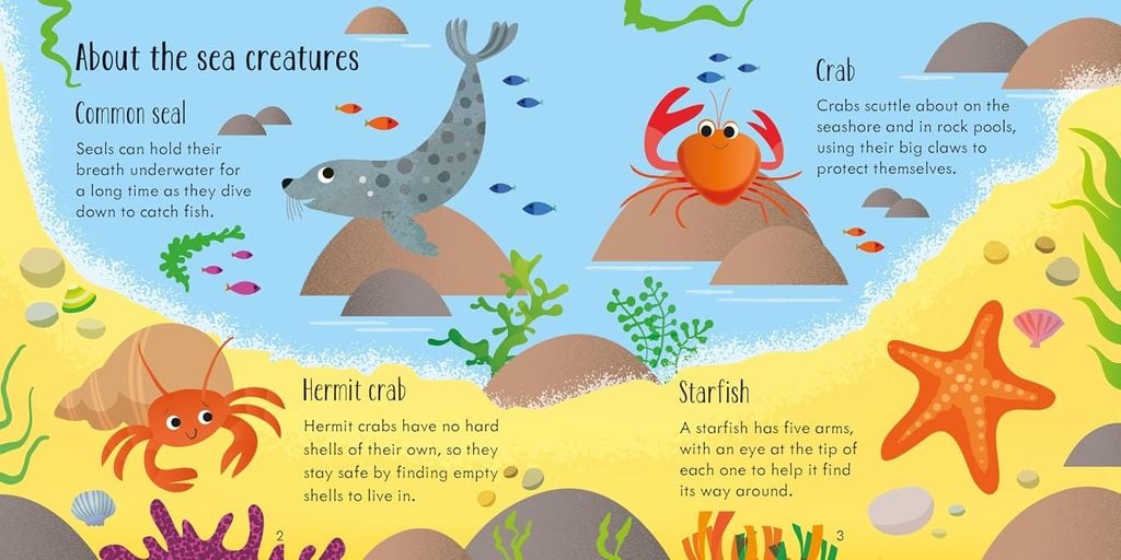 Under The Sea Matching Games And Book