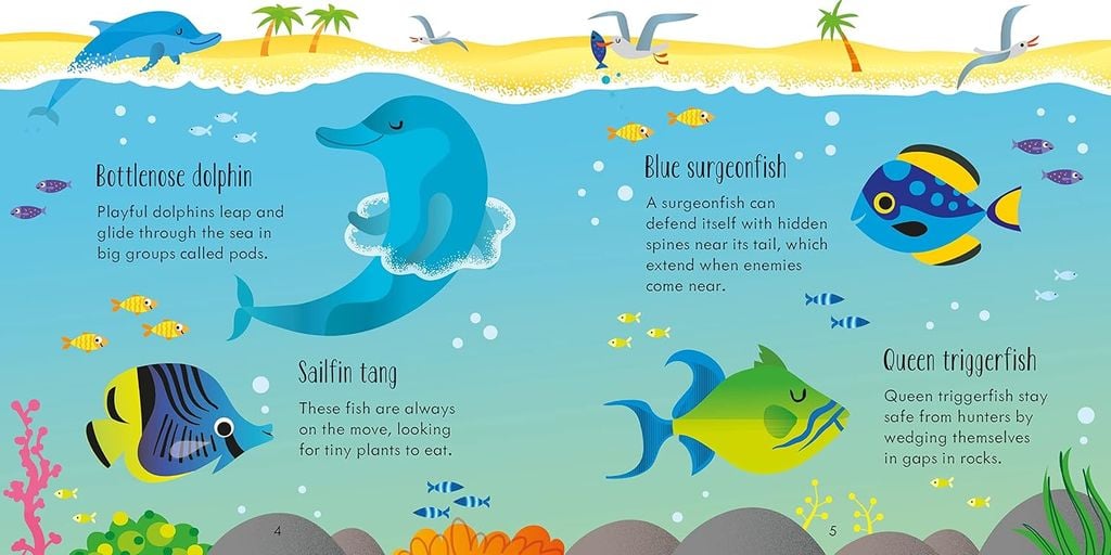 Under The Sea Matching Games And Book