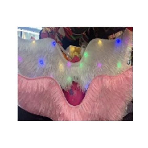 Cánh Thiên Thần 1587-13