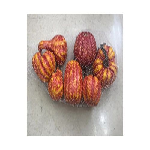 Bộ 8 Quả Bí Nhỏ