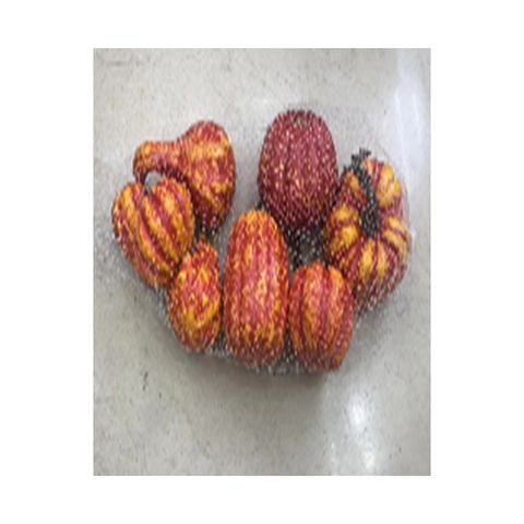 Bộ 8 Quả Bí Nhỏ