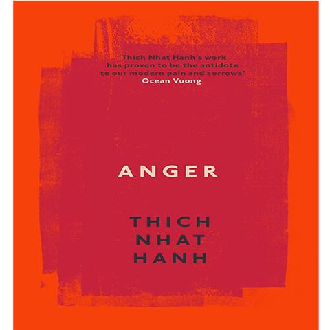 Anger: Buddist Wisdom for Cooling the Flames