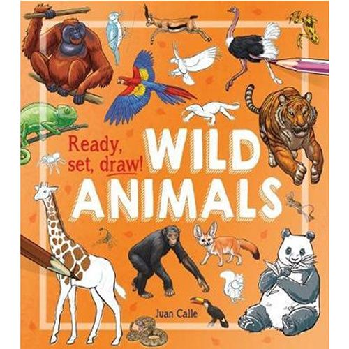 Ready, Set, Draw!: Wild Animals