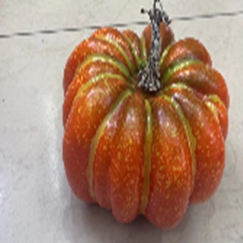 Quả Bí 17Cm Thấp 170