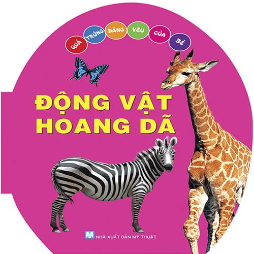 Quả Trứng Đáng Yêu Của Bé - Động Vật Hoang Dã