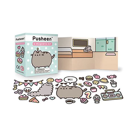 Pusheen: A Magnetic Kit