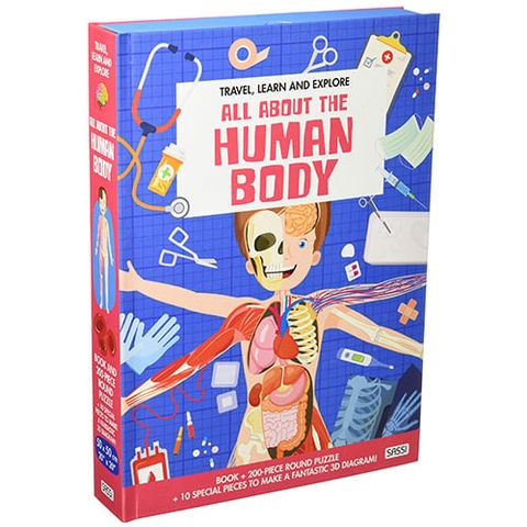 Travel, Learn And Explore: All About The Human Body