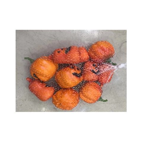 Bộ 10 Quả Bí Nhỏ 10