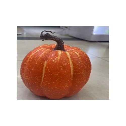 Quả Bí 17Cm Cao 170