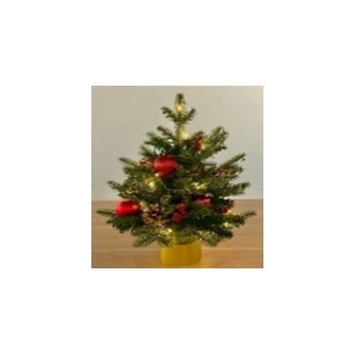 Chậu Thông Trang Trí 45CM SSL2108-45