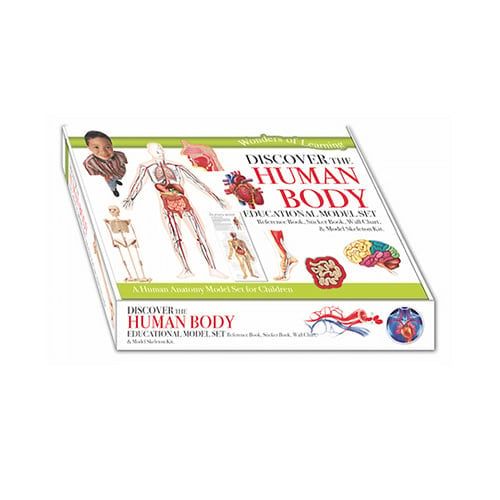 Wol Model Set - Human Body