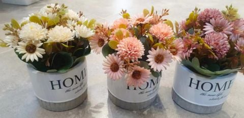 Hoa Chậu TMZ98815