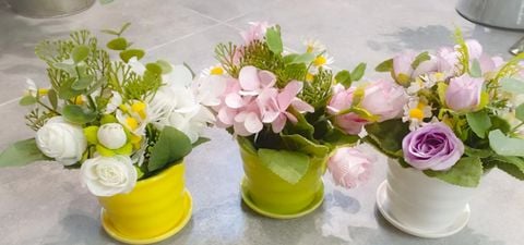 Hoa Chậu TMZ98494