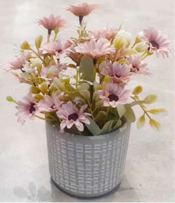 Hoa Chậu TIEMU#11