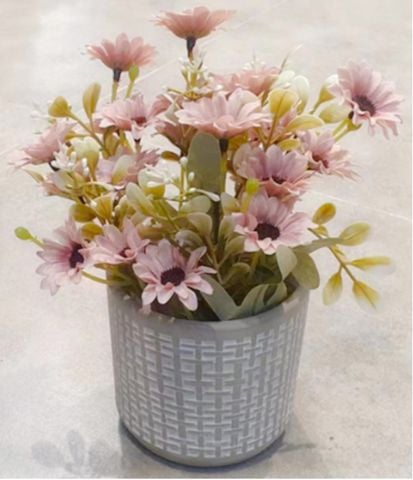 Hoa Chậu TIEMU#11