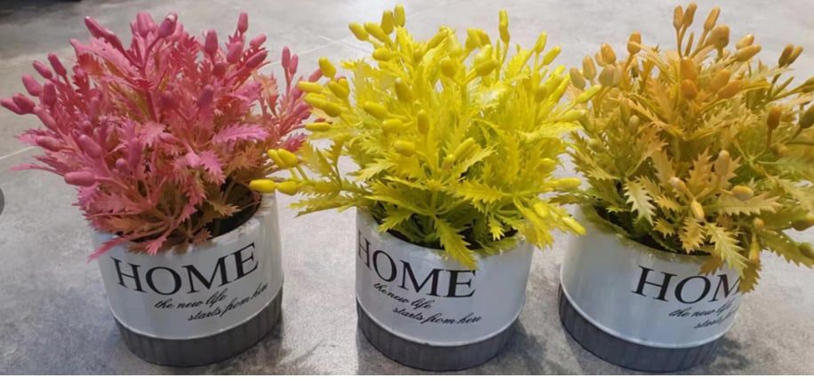 Hoa Chậu TMZ98514