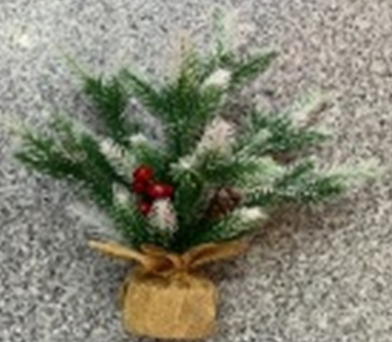 Chậu Thông Để Bàn 40Cm 2015