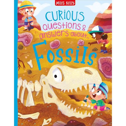 Curious Questions & Answers About Fossils