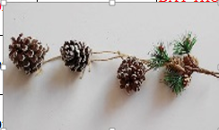 Dây Thông Trang Trí 36CM X3541