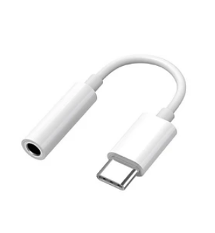 Đầu Chuyền Pisen 2-IN-1 Zinc Alloy (Charging, Music, TYPE-C+3.5MM)