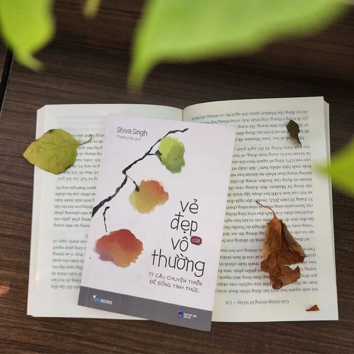 Vẻ Đẹp Của Vô Thường - 77 Câu Chuyện Thiền Để Sống Tỉnh Thức
